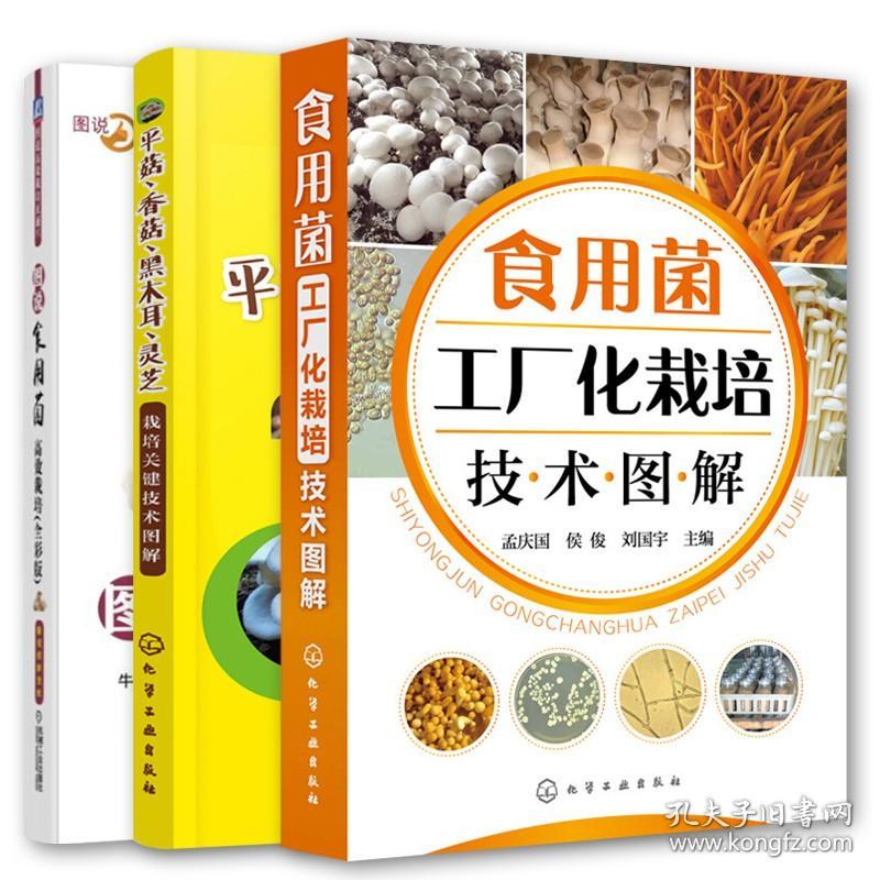 图说食用菌高效栽培(全彩版)+食用菌工厂化栽培技术图解+平菇.香菇.黑木耳.灵芝栽培关键技术图解