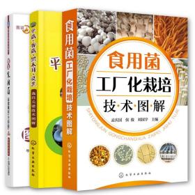 图说食用菌高效栽培(全彩版)+食用菌工厂化栽培技术图解+平菇.香菇.黑木耳.灵芝栽培关键技术图解