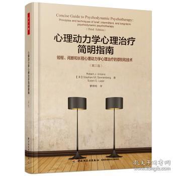 万千心理·心理动力学心理治疗简明指南：短程、间断和长程心理动力学心理治疗的原则和技术：第三版