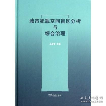 城市犯罪空间盲区分析与综合治理   王发曾   商务印书馆