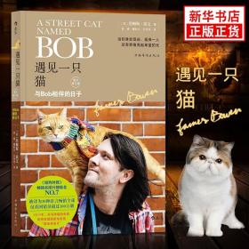 遇见一只猫:与Bob相伴的日子