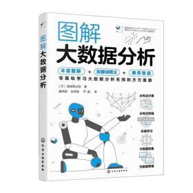 正版 图解大数据分析 零基础学习大数据分析系统的方方面面 系统结构搭建到实际开发循序渐进的教科书 大数据领域人员阅读图书籍