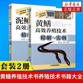 2册 黄鳝高效养殖技术精解与实例+泥鳅高效养殖技术精解与实例 黄鳝养殖技术书养殖技术书籍大全 科学养殖棘胸蛙养殖技术问答书