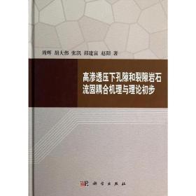 高渗透压下孔隙和裂隙岩石流固耦合机理与理论初步