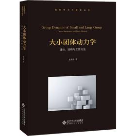 大小团体动力学 理论、结构与工作方法 夏林清 著 心理学经管、励志 新华书店正版图书籍 北京师范大学出版社