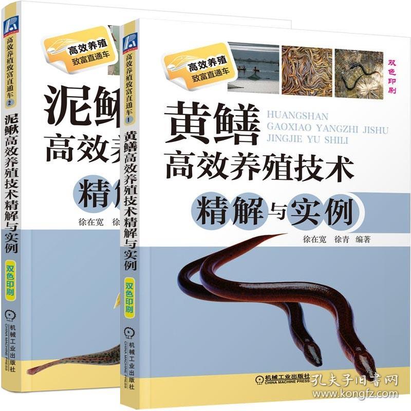 2册 黄鳝高效养殖技术精解与实例+泥鳅高效养殖技术精解与实例 黄鳝养殖技术书养殖技术书籍大全 科学养殖棘胸蛙养殖技术问答书