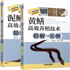 2册 黄鳝高效养殖技术精解与实例+泥鳅高效养殖技术精解与实例 黄鳝养殖技术书养殖技术书籍大全 科学养殖棘胸蛙养殖技术问答书