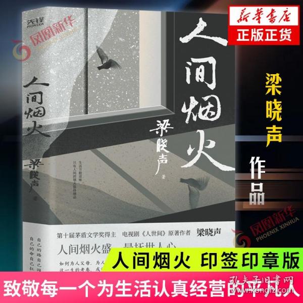 人间烟火（第十届茅盾文学奖得主、电视剧《人世间》原著作者梁晓声中篇小说力作。看罢《人世间》的冷暖，再品《人间烟火》的炎凉！）