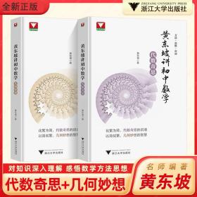 黄东坡讲初中数学代数奇思几何妙想智慧大讲堂带你发现数学之美初一初二初三解题方法与技巧 初中中考数学培优新方法七八九年级