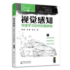 人工智能超入门丛书--视觉感知：深度学习如何知图辨物 ChatGPT聊天机器人入门