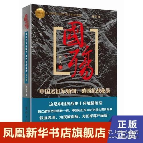 国殇（第5部）：中国远征军缅甸、滇西抗战秘录