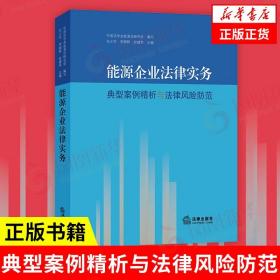 能源企业法律实务：典型案例精析与法律风险防范