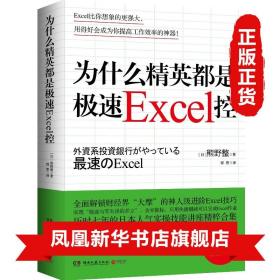 为什么精英都是极速Excel控 熊野整 著 Excel工作利器 表格制作excel教程书籍数据处理办公软件入门