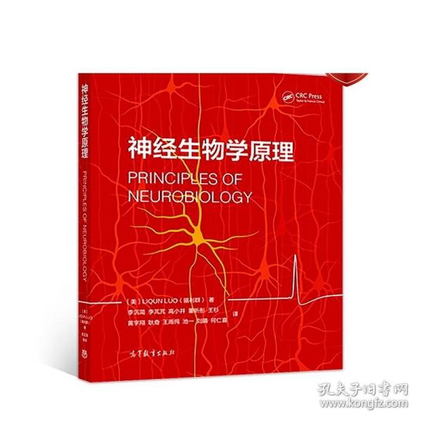 正版 神经生物学原理 高等教育出版社 神经生物学及其相关专业高年级本科生和研究生教材 电生理学 分子遗传学 系统水平