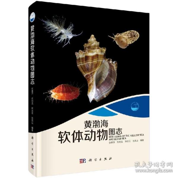 现代海洋科学 从近海到深海：黄渤海软体动物图志