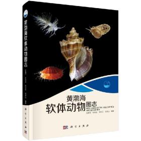 现代海洋科学 从近海到深海：黄渤海软体动物图志