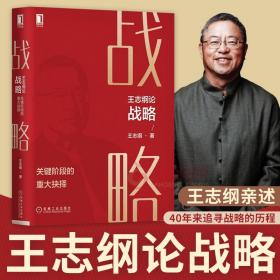 王志纲论战略:关键阶段的重大抉择