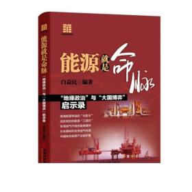 能源就是命脉白益民财团商道系列书能源安全书世界能源日本财团南海争端钓鱼岛争端三井帝国在行动海外拓展借鉴经验