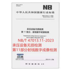 NB/T 47013.11-2023 承压设备无损检测 第11部分射线数字成像检测