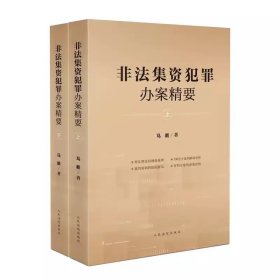 2023新书 非法集资犯罪办案精要 马新 著 人民法院出版社 9787510938467