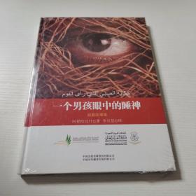 一个男孩眼中的睡神【全新 有塑膜】，