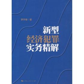 新型经济犯罪实务精解