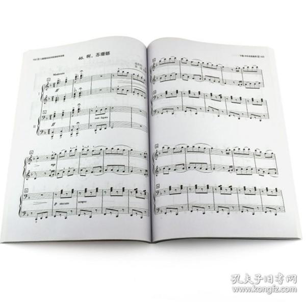 【正版保证】儿童趣味四手联弹钢琴曲集：郭瑶9787540446420