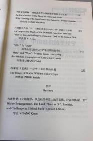 【正版保证】比较经学（第九辑）中国意识的圣经学宗教文化出版社