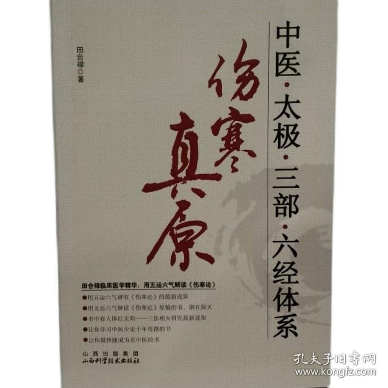 【正版保证】伤寒真原 中医太极三部六经体系 田合禄主编9787537735261