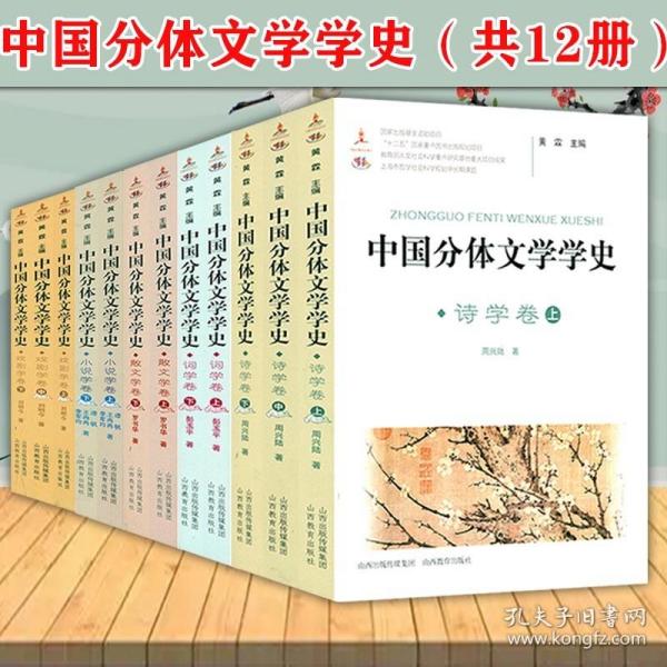 【正版保证】中国分体文学学史（12册） 诗学词学散文小说戏剧学卷中国古代近代文学史文学批评史新编简明中国文学史读本书籍