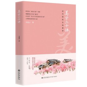 【正版保证】美学二十讲  辛意云作品