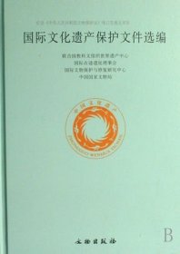 【正版保证】国际文化遗产保护文件选编 另荐 文物保护 文物进出境外国 与述评 国际文化遗产保护 2006-2017 中华人民共和国文物保护行业标准