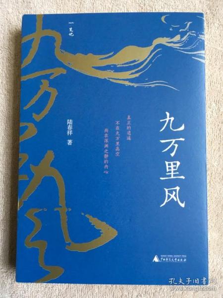 九万里风（《人民文学》主编施战军推荐，鲁奖得主陆春祥的文化行旅笔记。一场见天见地见历史的逍遥游！）