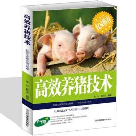 【正版保证】全4册高效养猪技术的书大全系列猪病防治幼猪饲养实用手册猪饲料科学配制与应用猪病诊治与用药养殖技术书籍规模养殖家畜