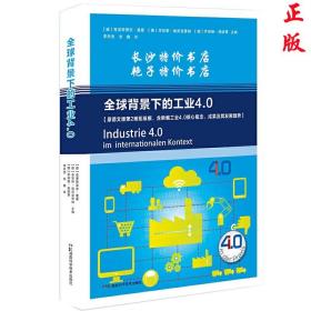 全球背景下的工业4.0（德）克里斯蒂安 曼蔡 等编 湖南科技