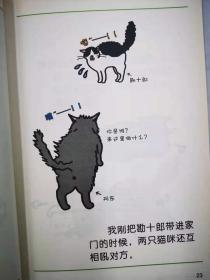 猫咪还能这样玩（日）小泉纱代 著 湖南科技