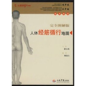 人体经筋循行地图!