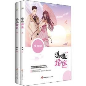 暖暖婚途(2册) 情感小说 梅萱