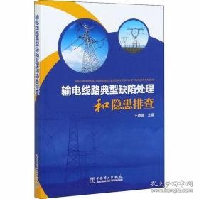 输电线路典型缺陷处理和隐患排查 水利电力 王晓建主编