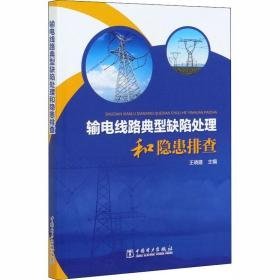 输电线路典型缺陷处理和隐患排查 水利电力 王晓建主编