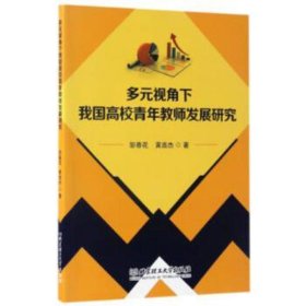 多元视角下我国高校青年教师发展研究