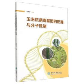 玉米基因的挖掘与分子机制 农业科学 刘青青|责编:肖静 新华正版