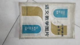 语文教学图片，小学课本第九册10张全