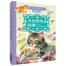 大自然里的故事 海边的森林猫