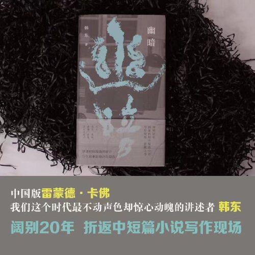 （精装）幽暗(鲁迅文学奖得主韩东中短篇小说选集)