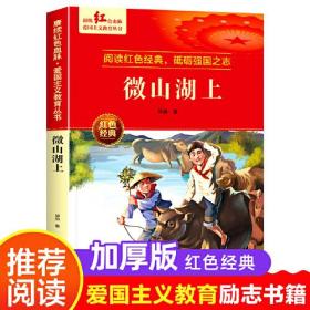 【中小学】赓续红色血脉·爱国主义教育丛书--微山湖上