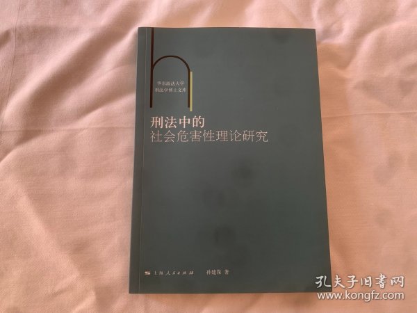 刑法中的社会危害性理论研究