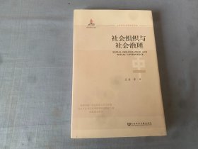 社会组织与社会治理