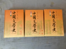 中国文学史（上中下）