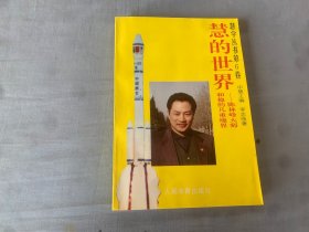 慧的世界:陈林峰大师和他的几重境界